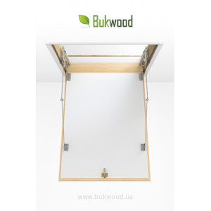 Горищні люки без сходів